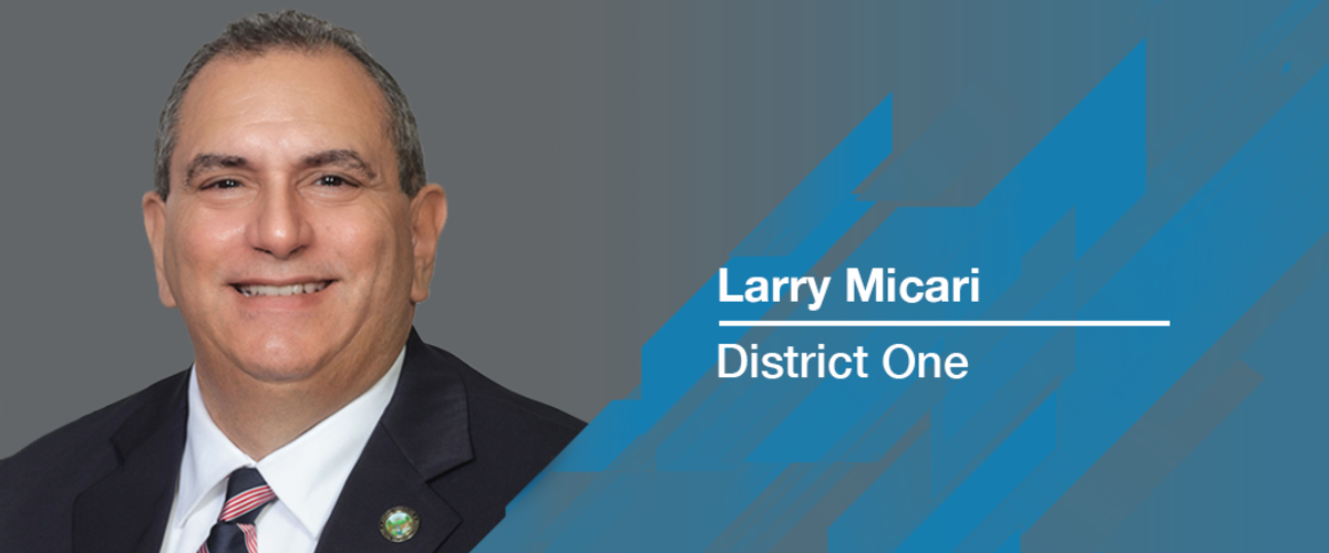 Larry Micari, District 1 - Chair